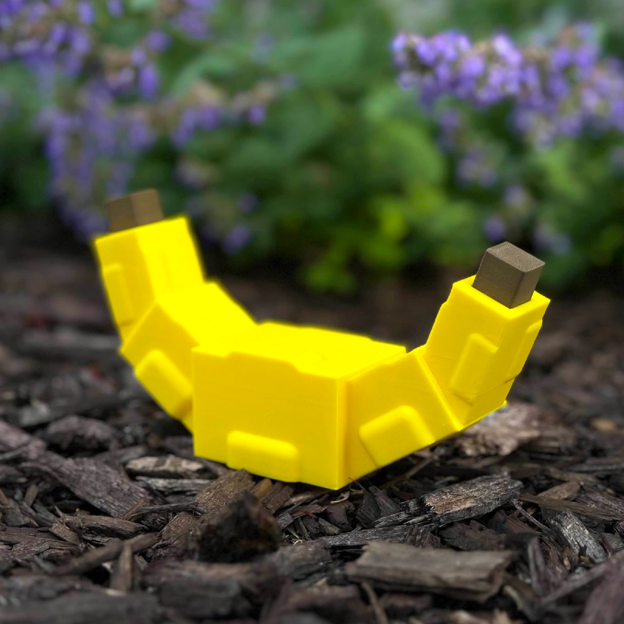 Garden Banana