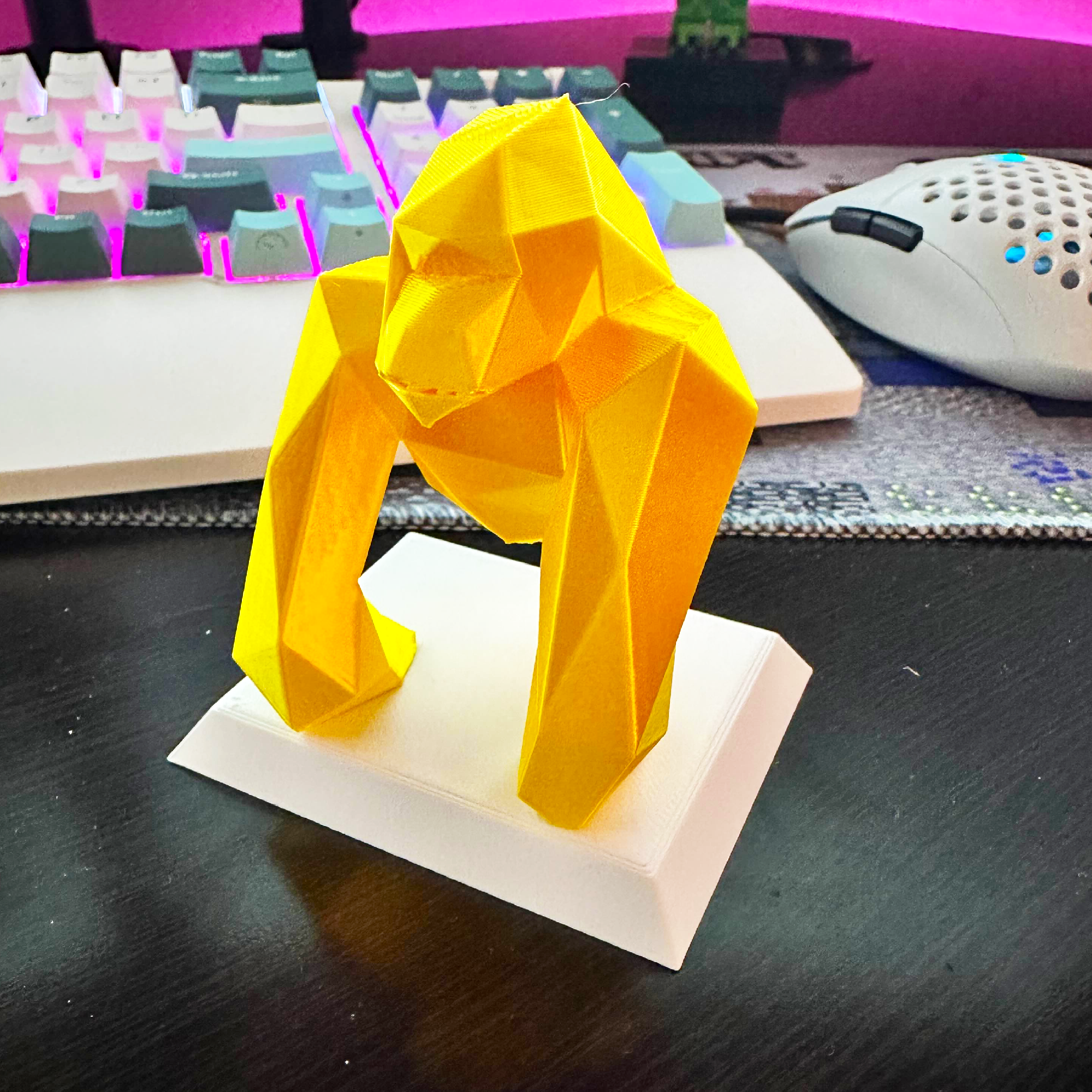 AC Gorilla Trophy